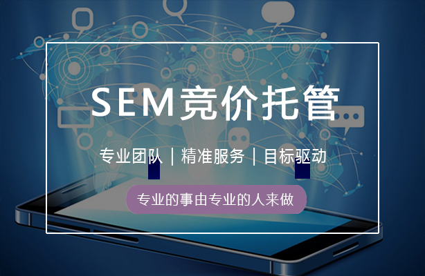 迪极通慧-SEM竞价托管服务——专业精准服务