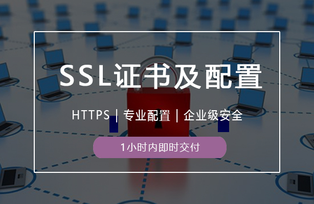 迪极通慧-HTTPS配置 证书配置 SSL证书 加密证书安装服务